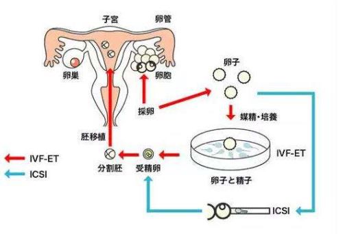 月经期间同房