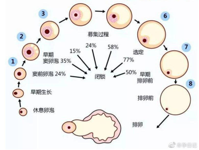 长期避孕药
