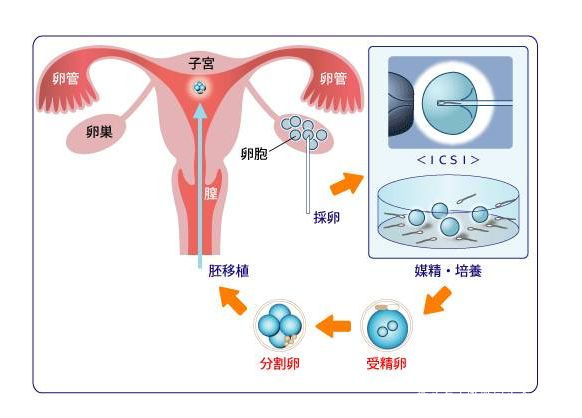 月经刚走