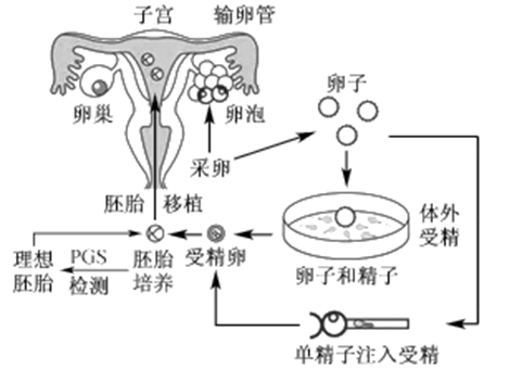 月经推迟