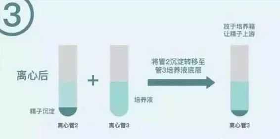 月经期间同房