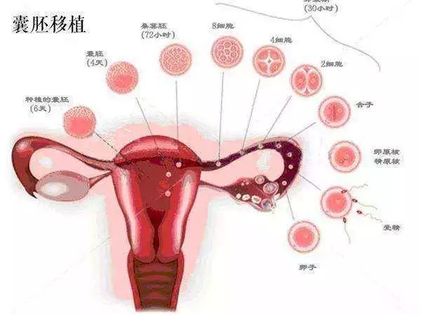 月经推迟